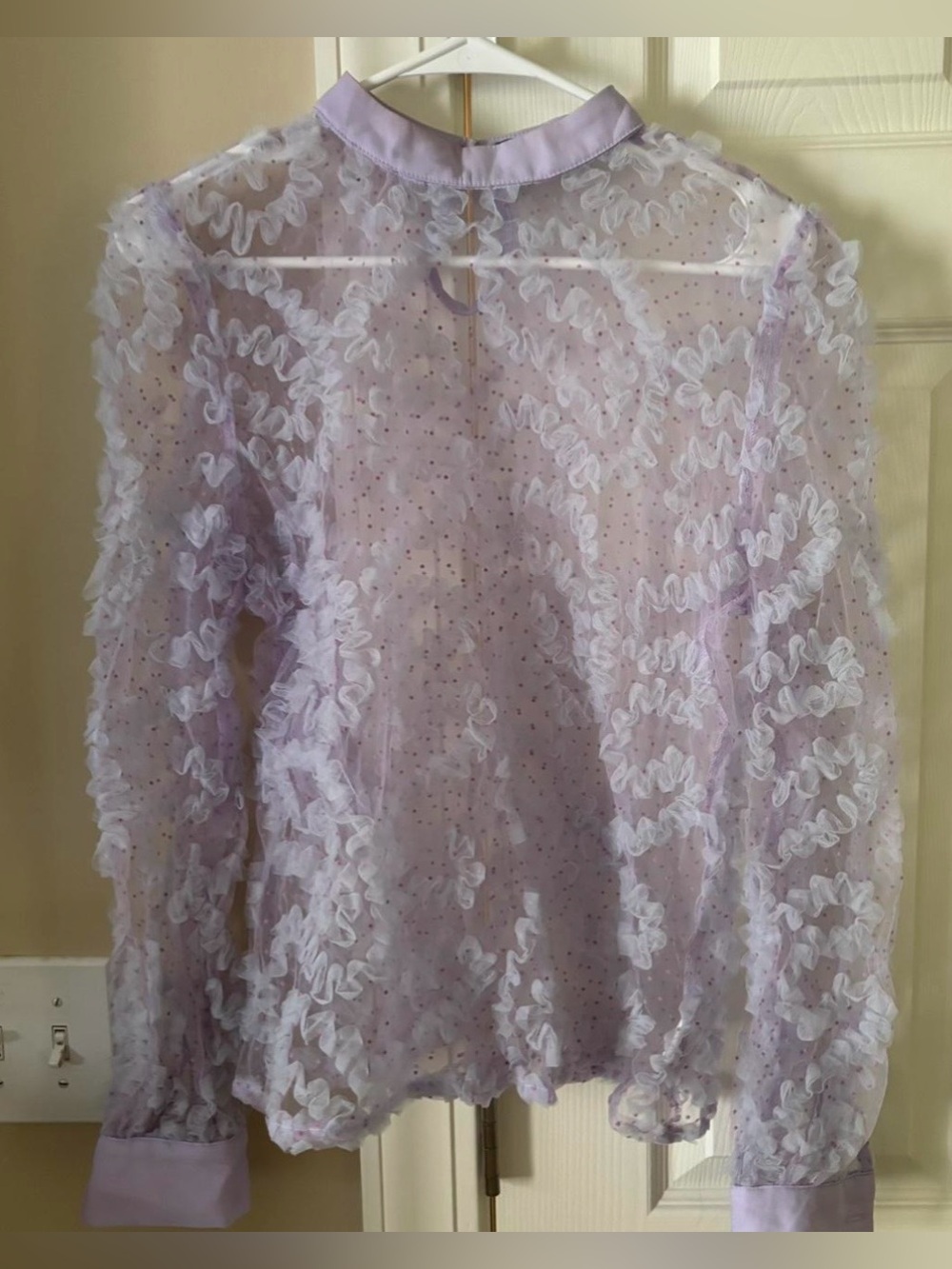 SHEIN Lavender Sheer Ruffle Long-Sleeve Blouse